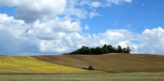 Europa eximirá a las pequeñas explotaciones agrarias de controles y sanciones de la condicionalidad de la PAC campo
