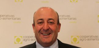 Fernando Ezquerro, nuevo presidente sectorial de Vino de Cooperativas Agro-alimentarias España