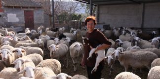 La venta directa de productos agroalimentarios abre un “horizonte de oportunidades” ganadera de ovino