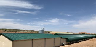 Una granja avícola de Castilla-La Mancha, finalista en los Premios de Agricultura Ecológica de la UE 2023 La Barja