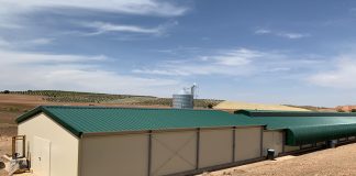 Medidas innovadoras para optimizar la gestión de residuos en las granjas granja