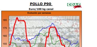 Los productores de pollo llegan “desplumados” a la Navidad