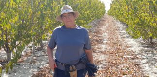 CaixaBank y FADEMUR impulsarán la igualdad en sector agrario en España