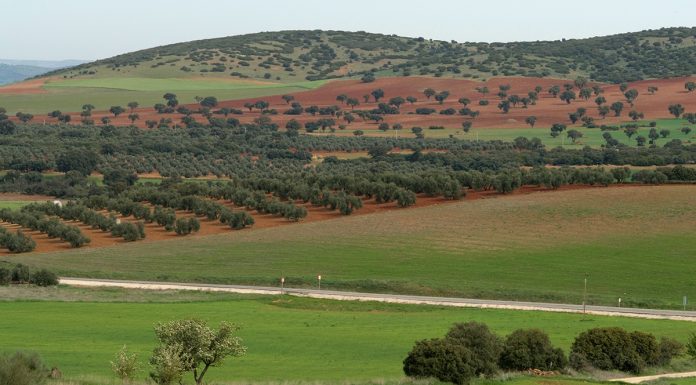 Unión de Uniones considera “inviables” los objetivos climáticos que propone la UE tanto para 2040 como 2050 paisaje
