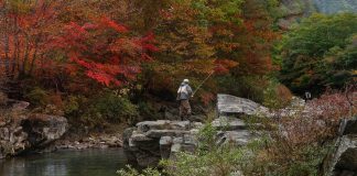 El Gobierno de Castilla-La Mancha mejorará la pesca nocturna