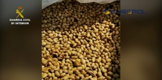 Destapada una trama empresarial que vendía falsos pistachos ecológicos en España y Francia pistachos ecológicos falsos
