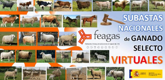 subastas virtuales feagas