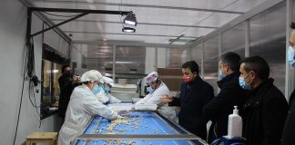 Castilla-La Mancha ya es líder nacional en superficie y producción pistacho