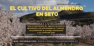Organiza curso online sobre ‘El cultivo del almendro en seto’