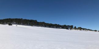Advierte que agricultores y ganaderos conquenses “necesitarán ayudas” tras ola de frío