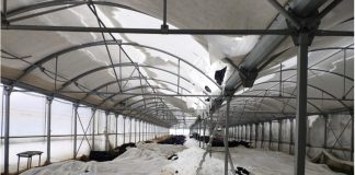 APAG insta a agricultores y ganaderos a pedir ayudas ‘zona catastrófica’