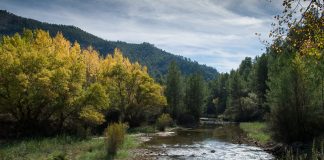 Alertan sobre instalación de macrogranja porcina cercana a Hoces del Cabriel