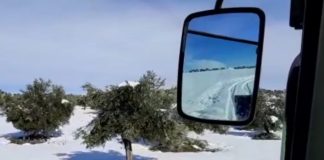 Vídeo: Agricultores y ganaderos conquenses explican los daños del temporal