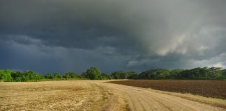 COAG rechaza frontalmente la convergencia de derechos PAC de pago básico campo