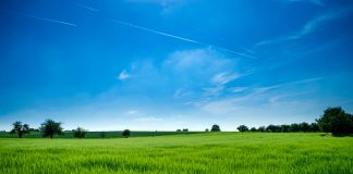 9-septiembre-2021. Curso on line de Introducción a la Agricultura Ecológica