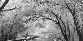 Las carreteras de Castilla-La Mancha van recuperando la normalidad
