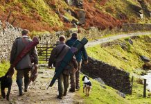 PP Castilla-La Mancha señala que la caza “es motor económico y herramienta de conservación” caza