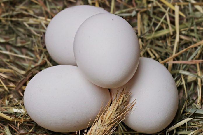 huevos