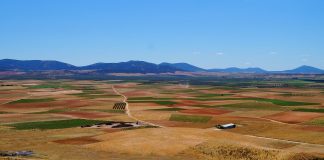 Las comunidades autónomas del PP no apoyan la aplicación de la PAC del Gobierno La Mancha