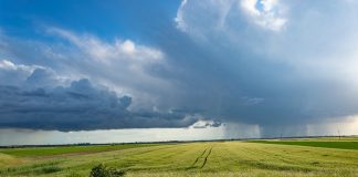 Los precios de los cereales siguen subiendo con fuerza