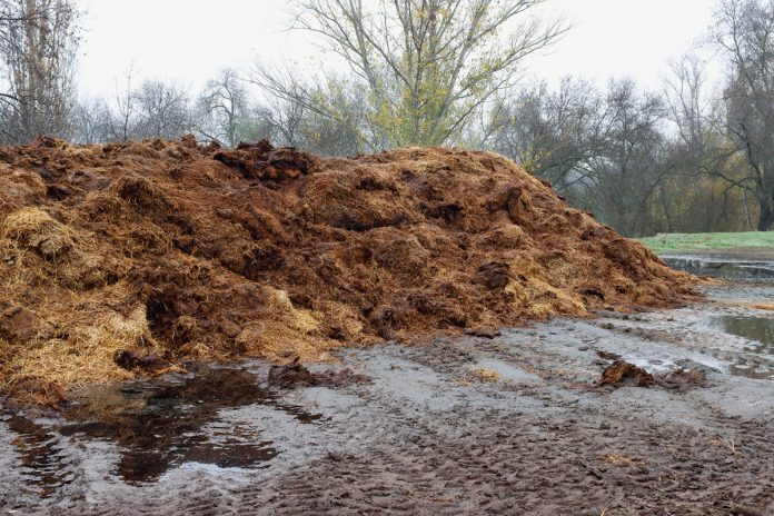 monton-estiercol-alta