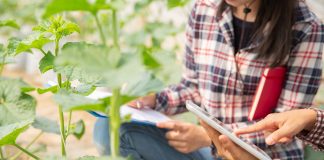 El Gobierno impulsará una Política Agraria Común (PAC) más igualitaria