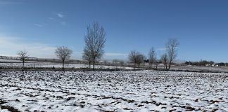 Castilla-La Mancha, en alerta ante la tormenta invernal de nieve y viento