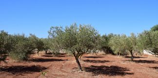 Valora la reducción de tributación en el IRPF para el año 2020