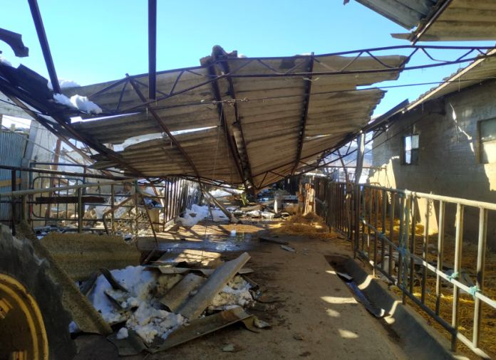 perdidas-Filomena-ALTA