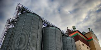 Notable y generalizado incremento del precio de los cereales