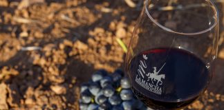 Añada 2020 ‘Muy buena’ para los vinos DO La Mancha