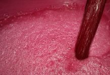 España lidera el comercio mundial de vino a granel vino tinto a granel