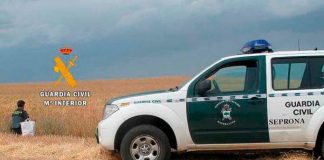 Condenada a seis meses de prisión por ceder a otro agricultor grano protegido