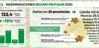 Agroseguro abona 132,4 millones a fruticultores asegurados por siniestros de 2020