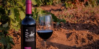 La Denominación de Origen La Mancha califica los vinos de 2025 de excelentes