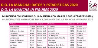 Radiografía de la Denominación de Origen La Mancha