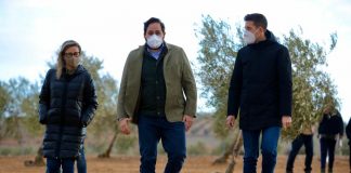 Exige soluciones inmediatas para controlar la plaga de conejos en el campo de Castilla-La Mancha