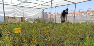 Mejorar el paisaje agrario a favor de la agricultura y biodiversidad