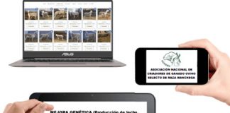 AGRAMA adjudica el 100% de los sementales ofertados en su primera Subasta Virtual del 2021