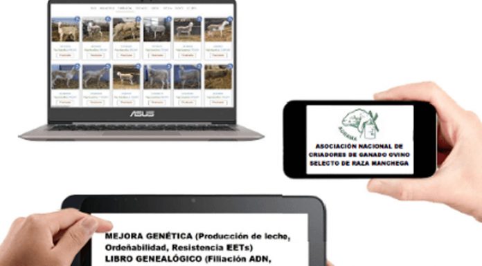 AGRAMA adjudica el 100% de los sementales ofertados en su primera Subasta Virtual del 2021