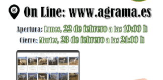 AGRAMA celebra IV Subasta Virtual de Sementales de Raza Ovina Manchega