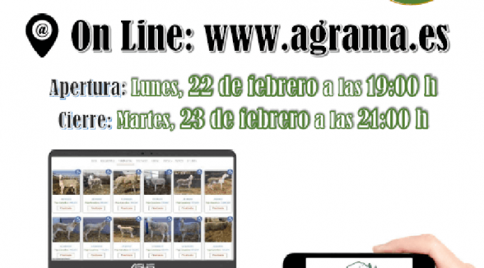 AGRAMA celebra IV Subasta Virtual de Sementales de Raza Ovina Manchega