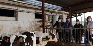 Destaca la fortaleza del sector agroalimentario de Castilla-La Mancha finca cantarranas