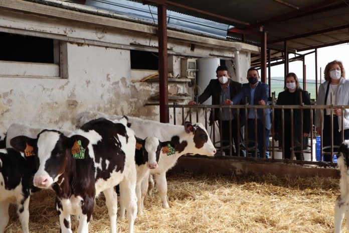 finca cantarranas finca cantarranas