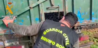 La Guardia Civil detiene a un varón que causó lesiones graves a un jornalero durante la campaña de aceituna Guardia Civil