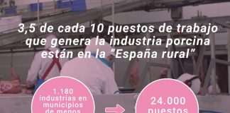 Industrias de porcino generan 24.000 puestos de trabajo en ‘España rural’