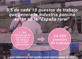 Industrias de porcino generan 24.000 puestos de trabajo en ‘España rural’
