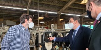 Agricultura mantendrá ayudas acopladas PAC a sectores vacuno, ovino y caprino