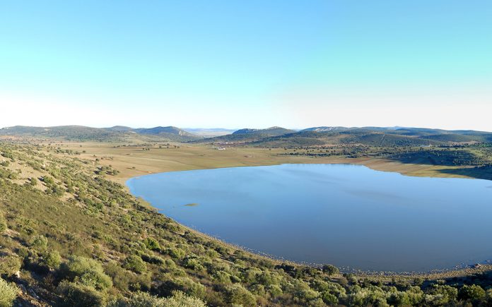pano-acebuche-4