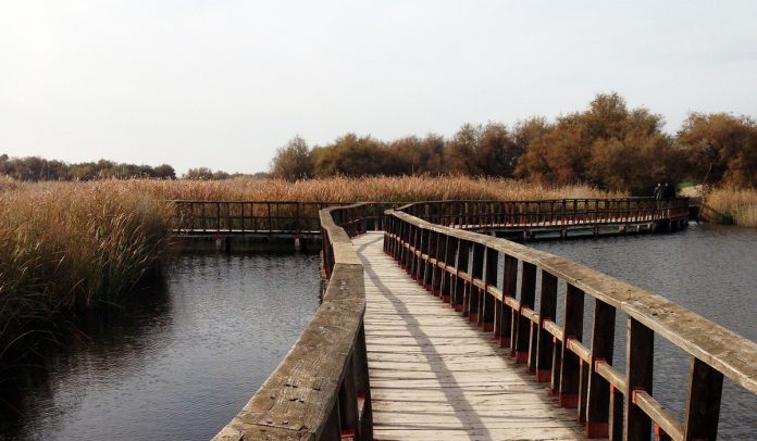 tablas de daimiel